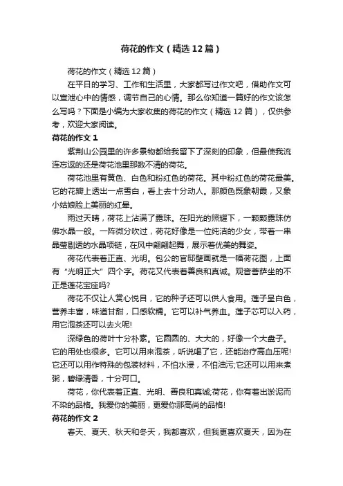 荷花的作文（精选12篇）