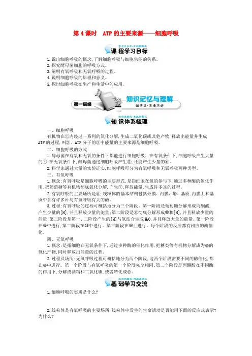 高中生物 第5章 第3节 ATP的主要来源-细胞呼吸导学案 新人教版必修1