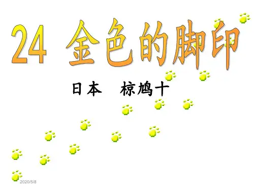 人教版六年上册24金色的脚印