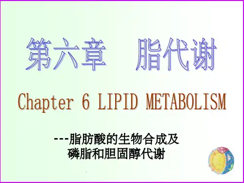 脂肪酸的生物合成及磷脂和胆固醇代谢ppt课件