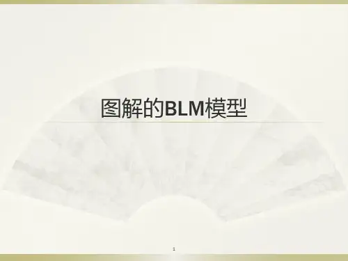 图解的BLM模型ppt课件