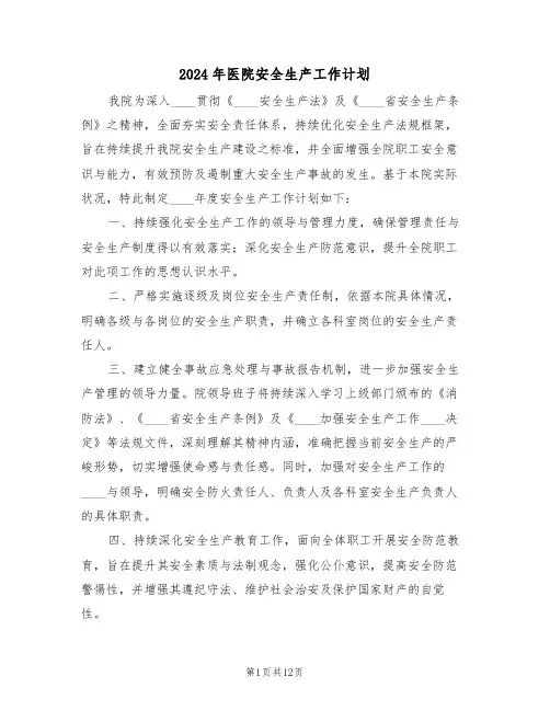 2024年医院安全生产工作计划（五篇）