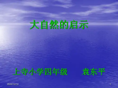 《大自然的启示》作文教学PPT教学课件