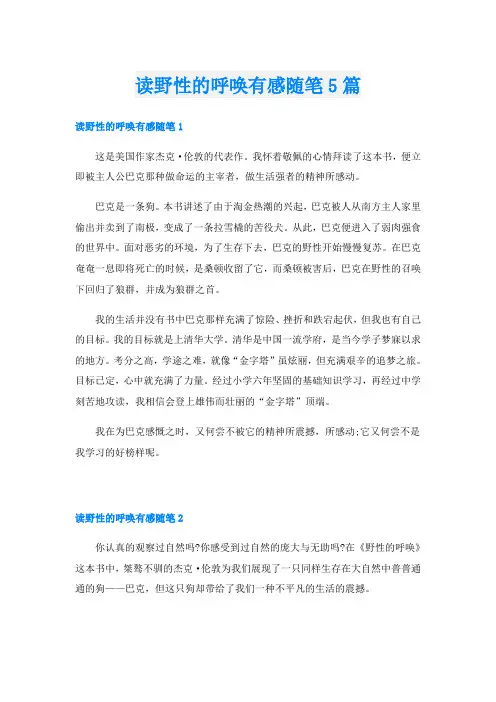 读野性的呼唤有感随笔5篇
