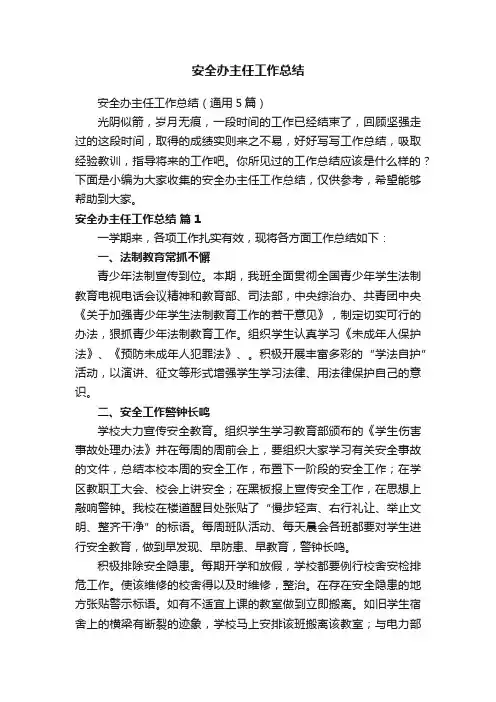 安全办主任工作总结