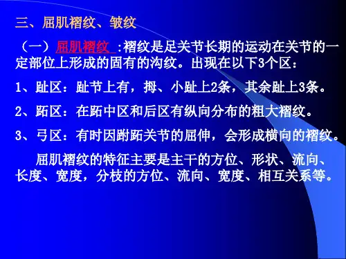 足迹 第二章3褶皱纹其它