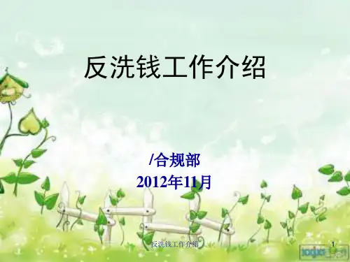 反洗钱工作介绍 ppt课件