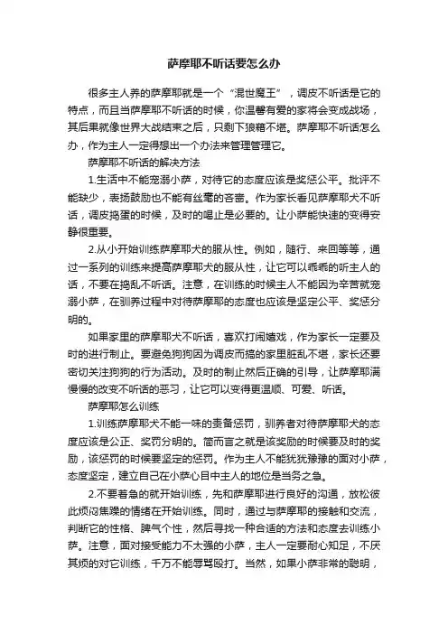 萨摩耶不听话要怎么办