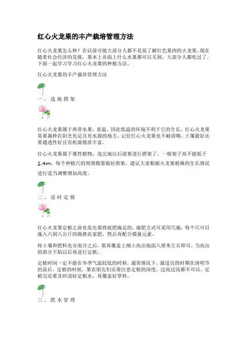 红心火龙果的丰产栽培管理方法