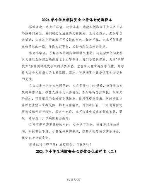2024年小学生消防安全心得体会优质样本(三篇)