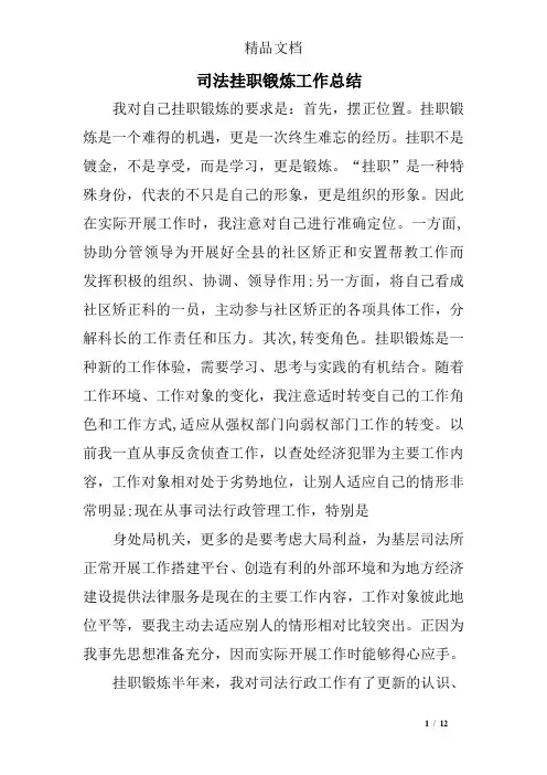 司法挂职锻炼工作总结