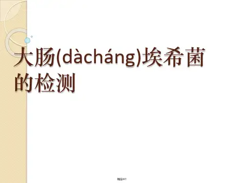 大肠埃希菌的检测