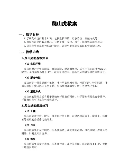 爬山虎教案