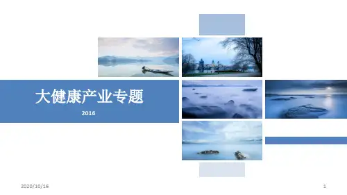 大健康产业专题PPT教学课件
