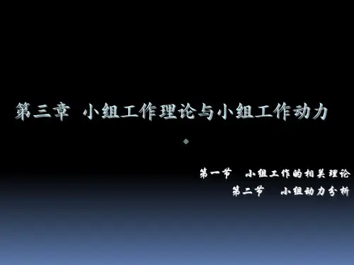 小组工作的相关理论及小组动力