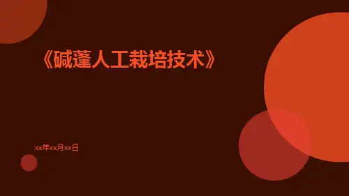 碱蓬人工栽培技术