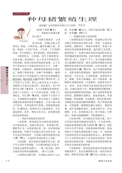 种母猪繁殖生理