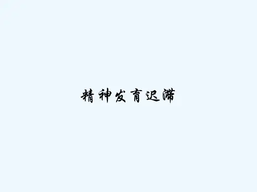 精神发育迟滞 PPT