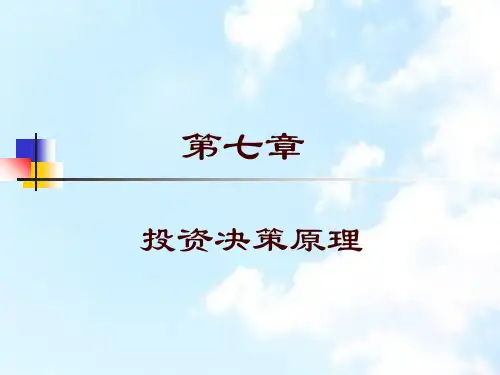 第7章投资决策原理