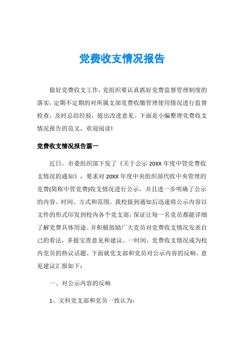 党费收支情况报告