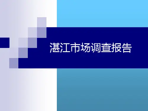 广东湛江房地产市场调查报告
