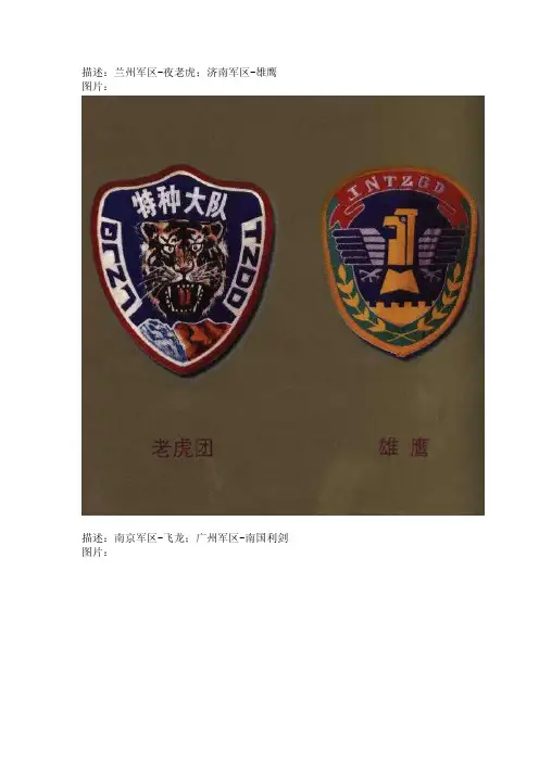 中国八大特种兵大队由来及目前状况和臂章