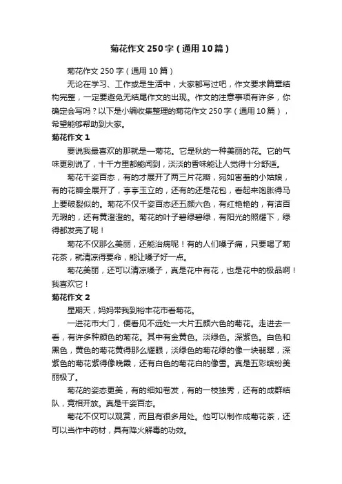 菊花作文250字（通用10篇）