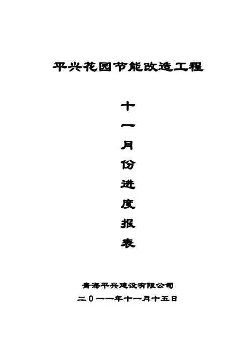 工程进度报表