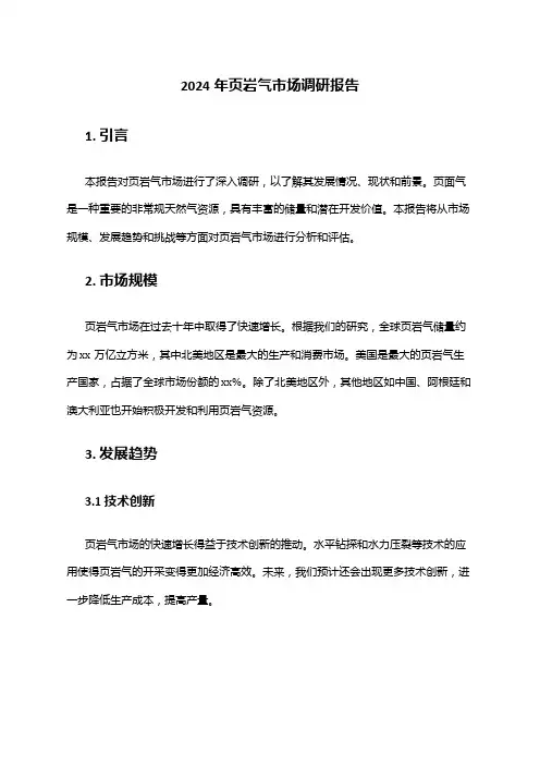 2024年页岩气市场调研报告