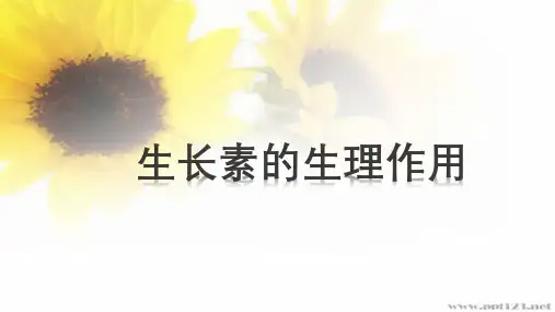生长素的生理作用 高中生物必修一教学课件PPT 人教版