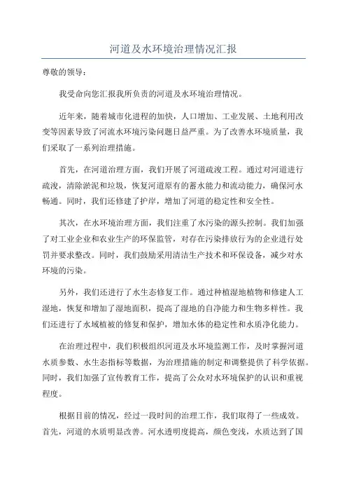 河道及水环境治理情况汇报