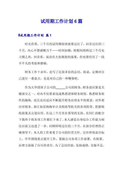 试用期工作计划6篇