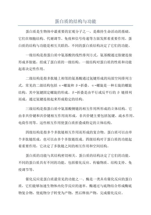 蛋白质的结构与功能