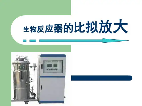 生物反应器的比拟放大