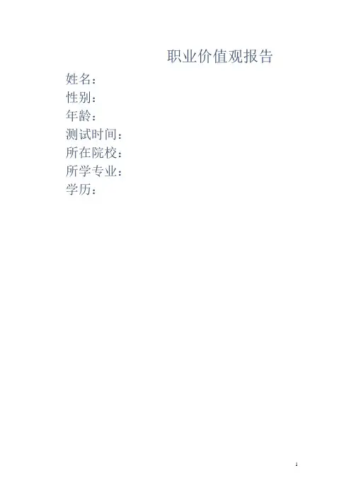 职业价值观报告