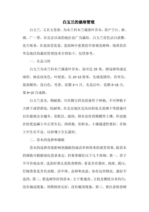 白玉兰的栽培管理