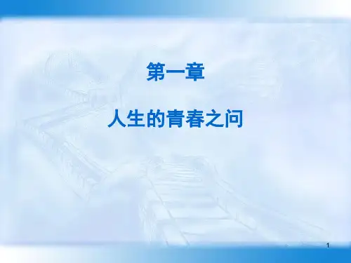 思想道德修养与法律基础第一章第三节2.3 第三节  创造有意义的人生