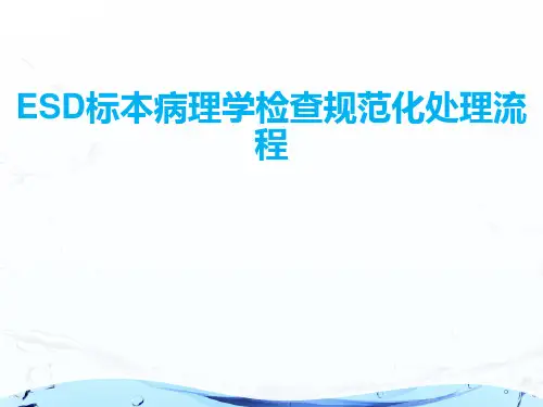 ESD标本病理检查规范处理流程