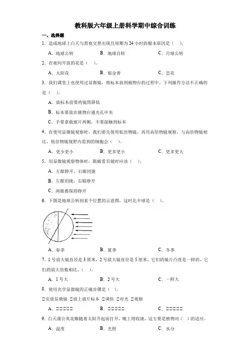 教科版六年级上册科学期中综合训练(附答案解析)