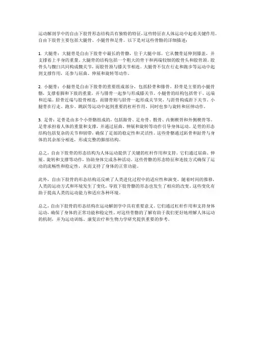运动解剖学自由下肢骨的形态结构