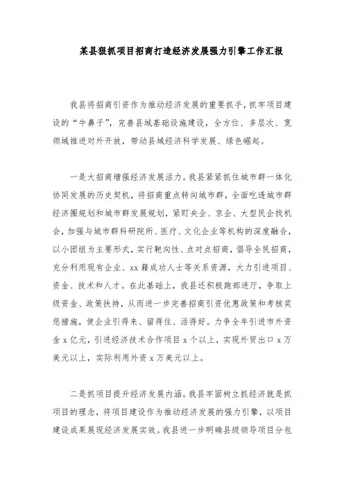 某县狠抓项目招商打造经济发展强力引擎工作汇报