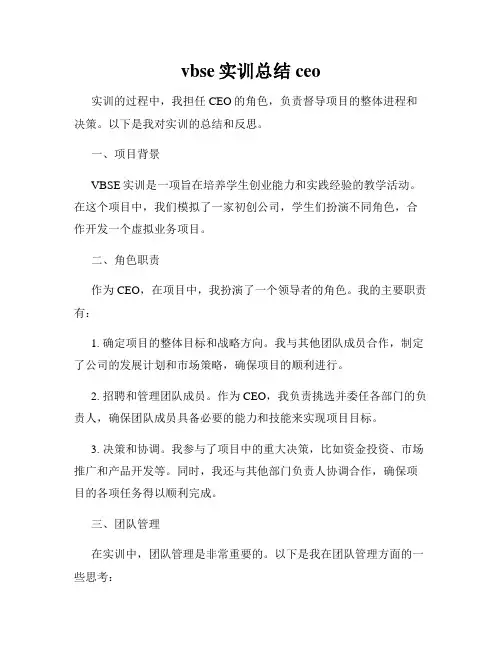 vbse实训总结ceo