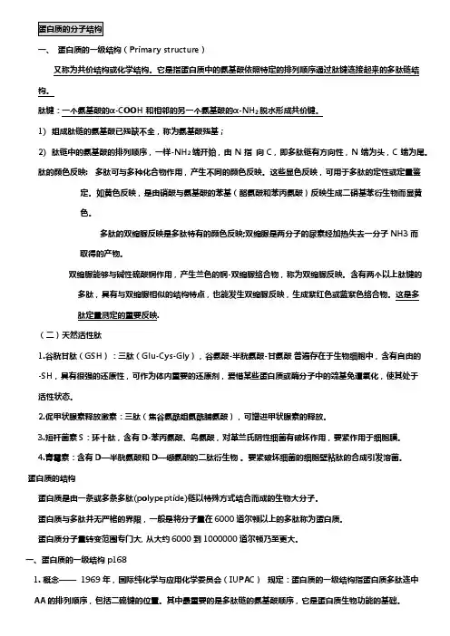 蛋白质一结构