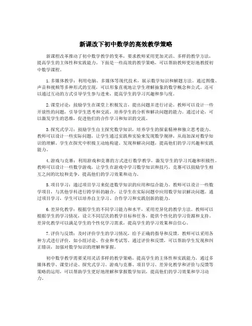 新课改下初中数学的高效教学策略