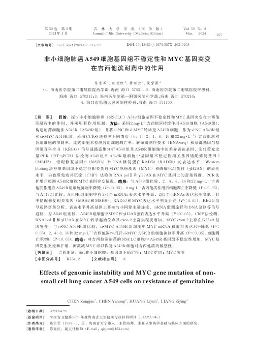 非小细胞肺癌A549_细胞基因组不稳定性和MYC_基因突变在吉西他滨耐药中的作用
