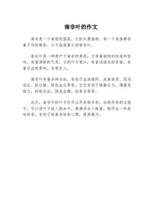 南非叶的作文