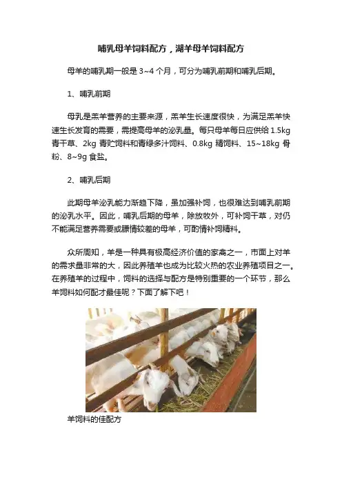 哺乳母羊饲料配方，湖羊母羊饲料配方