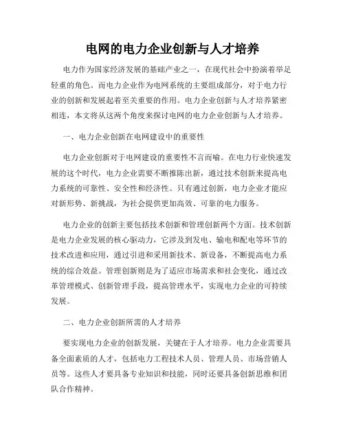 电网的电力企业创新与人才培养