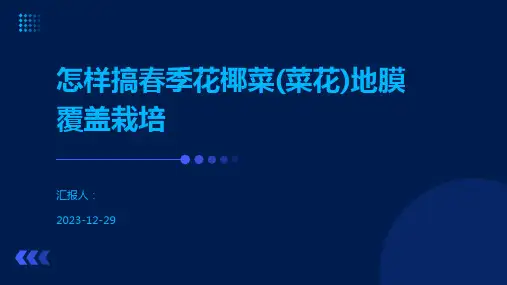 怎样搞春季花椰菜(菜花)地膜覆盖栽培