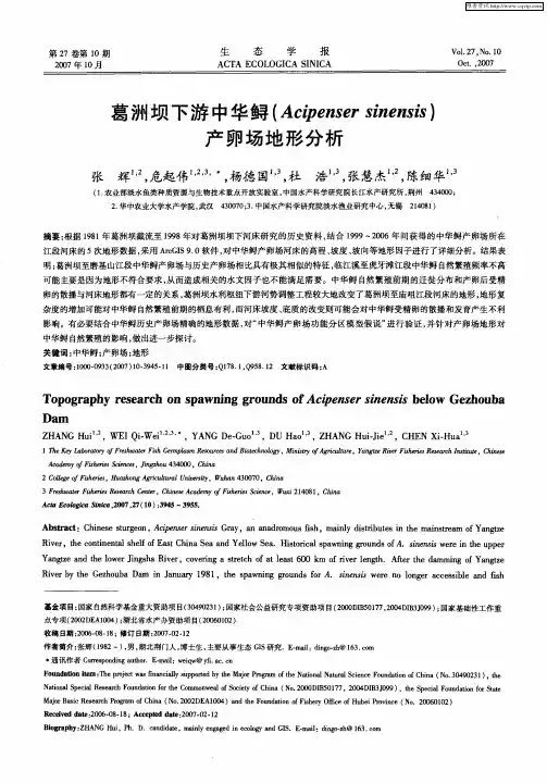 葛洲坝下游中华鲟(Acipenser sinensis)产卵场地形分析